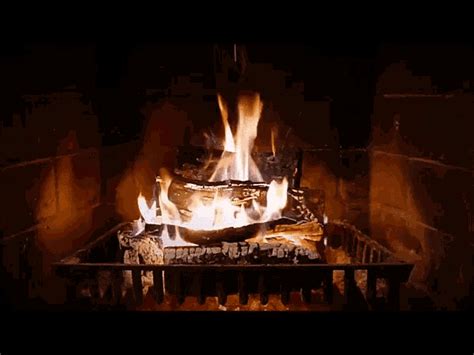 fireside gif|fireside chat gif.